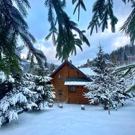 Na Gori Villa Slavske Exterior photo