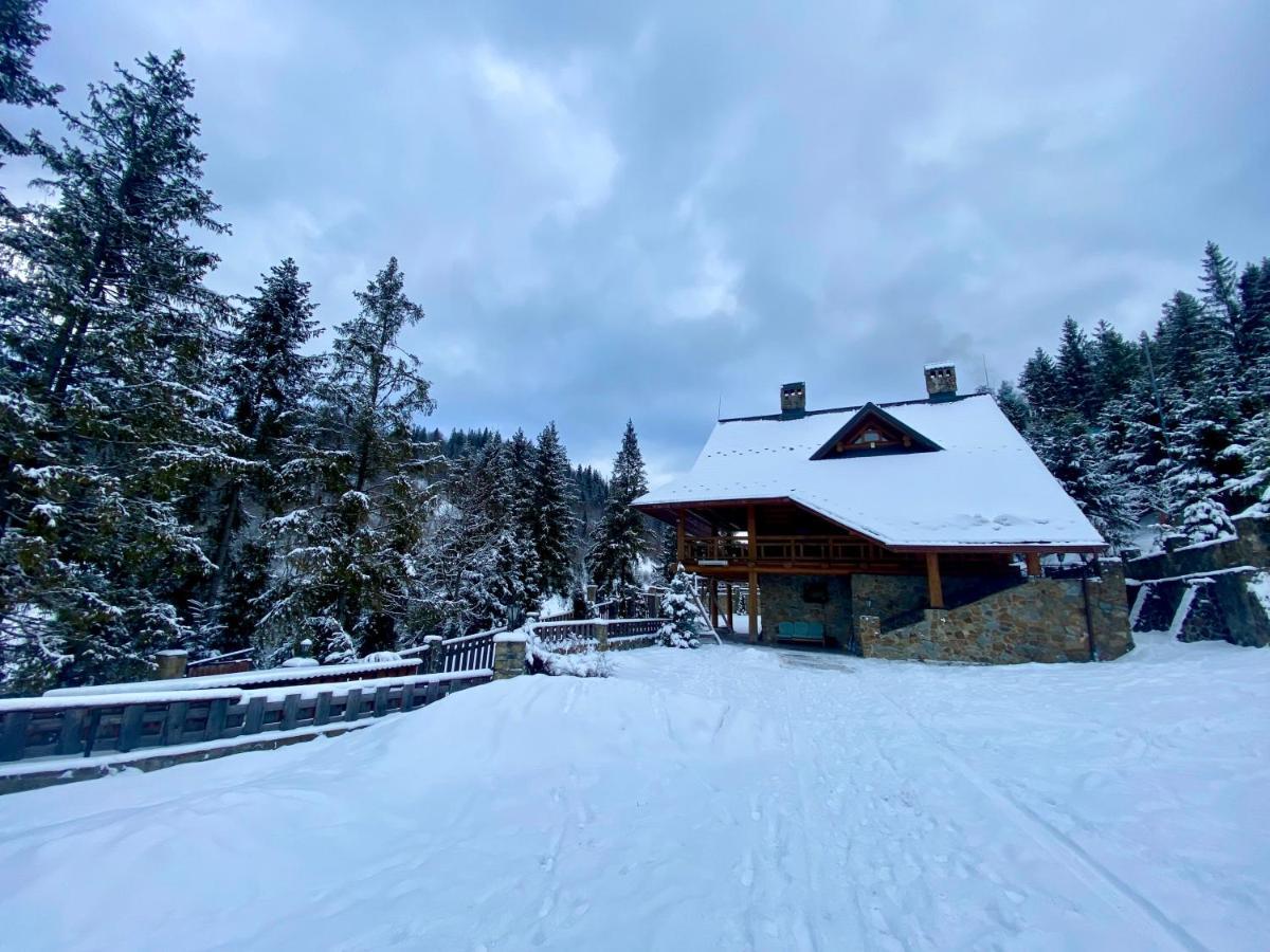 Na Gori Villa Slavske Exterior photo